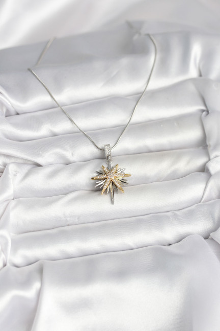 316L Çelik Zincir Gümüş Renk Kutup Yıldızı Model Kadın Kolye