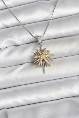 316L Çelik Zincir Gümüş Renk Kutup Yıldızı Model Kadın Kolye